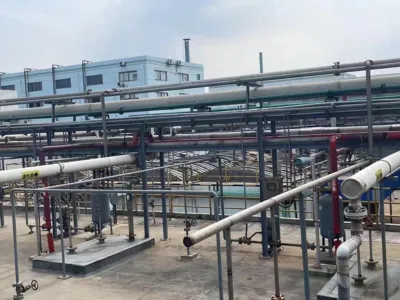 Бактерии для удаления аммиачного азота (гетеротрофные)