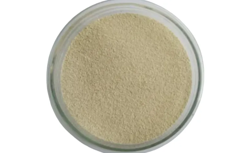 Бактерии, разлагающие бензол