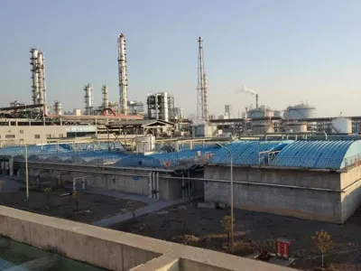 Бактерии для удаления ХПК (анаэробные)