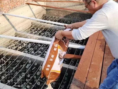 Бактерии для удаления серы