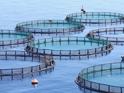 Анаэробный биостимулятор