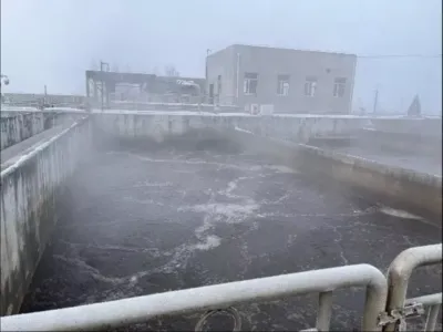 Высокоэффективные анаэробные бактерии